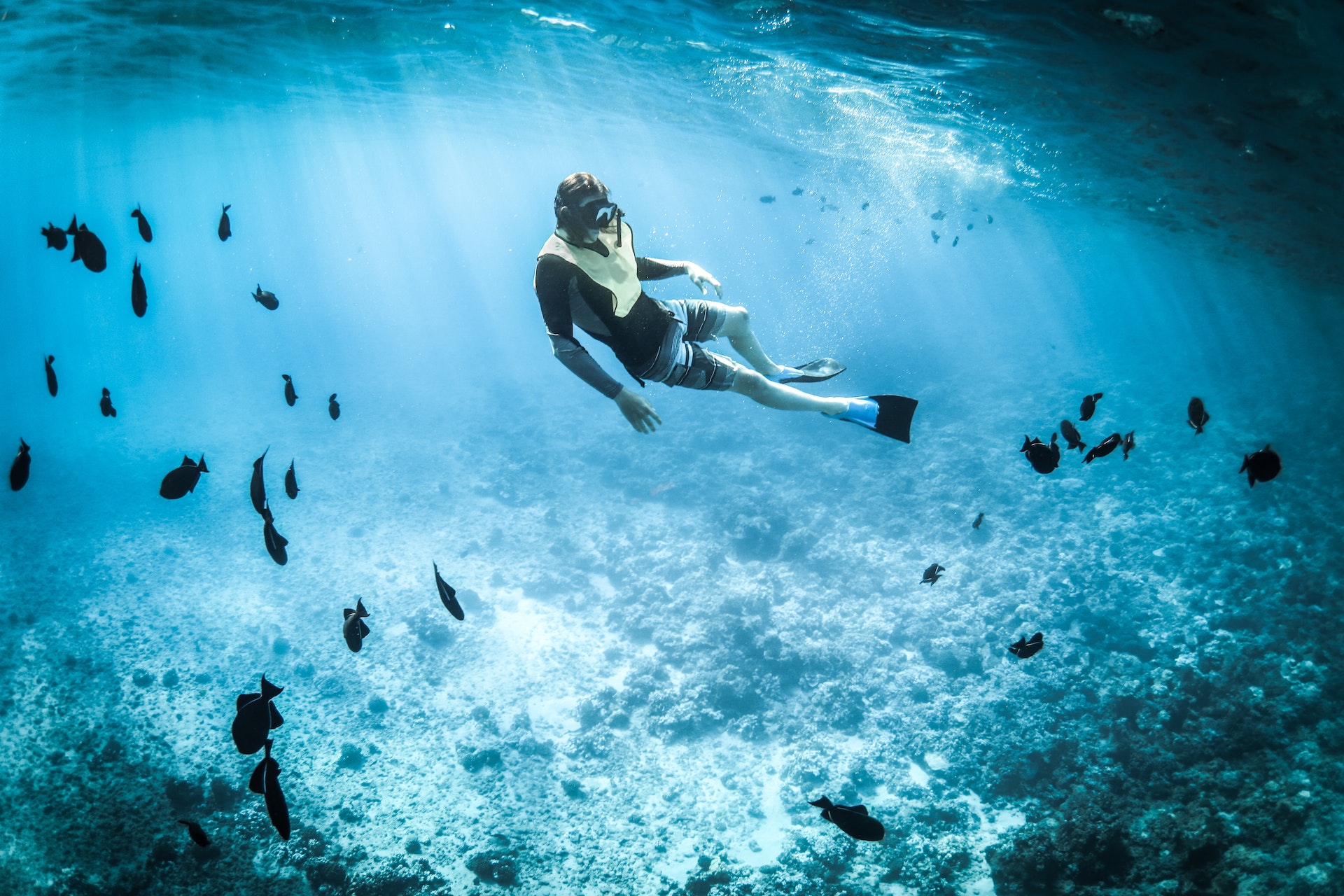 Nurkowanie głębokowodne: poznaj morskie głębiny